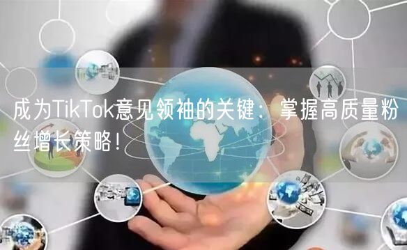 成为TikTok意见领袖的关键：掌握高质量粉丝增长策略！