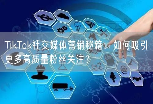 TikTok社交媒体营销秘籍：如何吸引更多高质量粉丝关注？