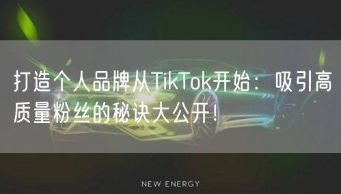 打造个人品牌从TikTok开始：吸引高质量粉丝的秘诀大公开！