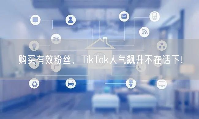 购买有效粉丝，TikTok人气飙升不在话下！