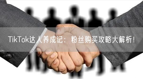 TikTok达人养成记：粉丝购买攻略大解析！