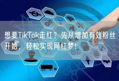想要TikTok走红？先从增加有效粉丝开始，轻松实现网红梦！