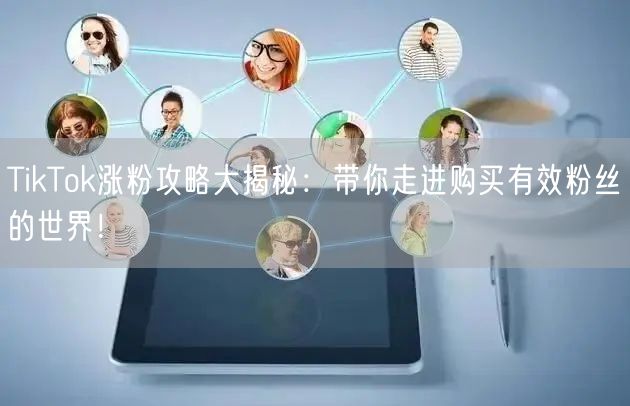 TikTok涨粉攻略大揭秘：带你走进购买有效粉丝的世界！