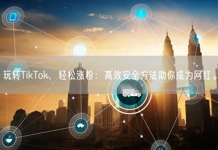 玩转TikTok，轻松涨粉：高效安全方法助你成为网红。