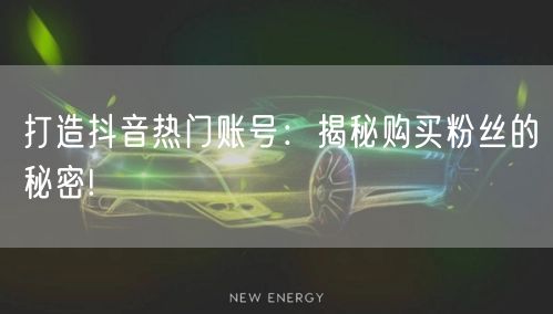 打造抖音热门账号：揭秘购买粉丝的秘密!