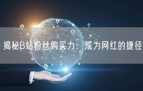 揭秘B站粉丝购买力：成为网红的捷径