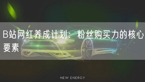 B站网红养成计划：粉丝购买力的核心要素