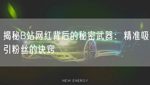 揭秘B站网红背后的秘密武器：精准吸引粉丝的诀窍