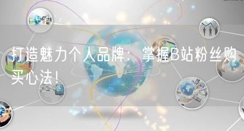 打造魅力个人品牌：掌握B站粉丝购买心法！