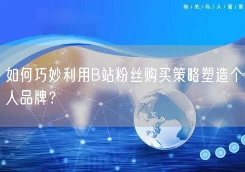如何巧妙利用B站粉丝购买策略塑造个人品牌？