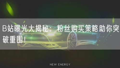 B站曝光大揭秘：粉丝购买策略助你突破重围！