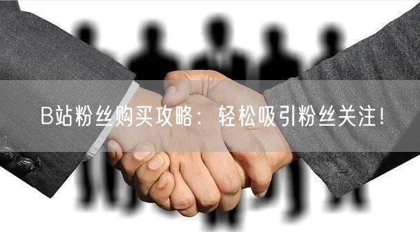 B站粉丝购买攻略：轻松吸引粉丝关注！