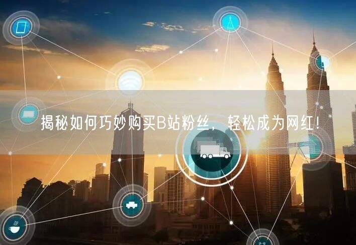 揭秘如何巧妙购买B站粉丝，轻松成为网红！