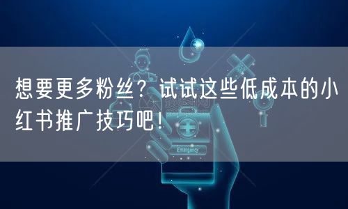 想要更多粉丝?试试这些低成本的小红书推广技巧吧!