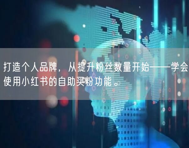 打造个人品牌,从提升粉丝数量开始——学会使用小红书的自助买粉功能。