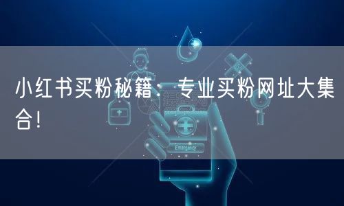 小红书买粉秘籍：专业买粉网址大集合！