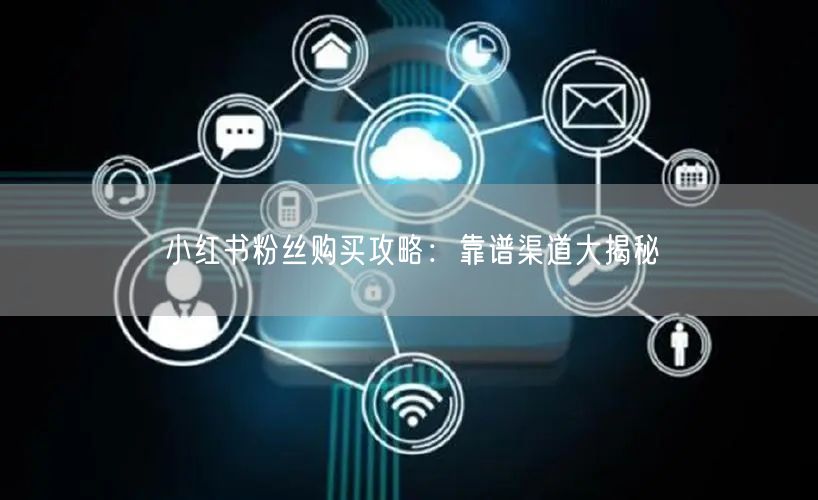 小红书粉丝购买攻略：靠谱渠道大揭秘