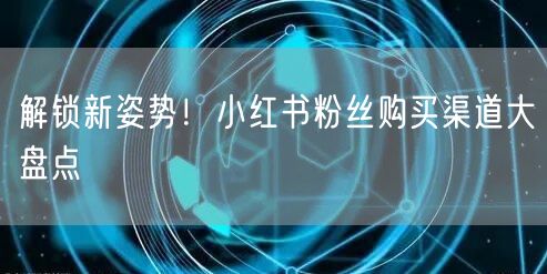 解锁新姿势！小红书粉丝购买渠道大盘点