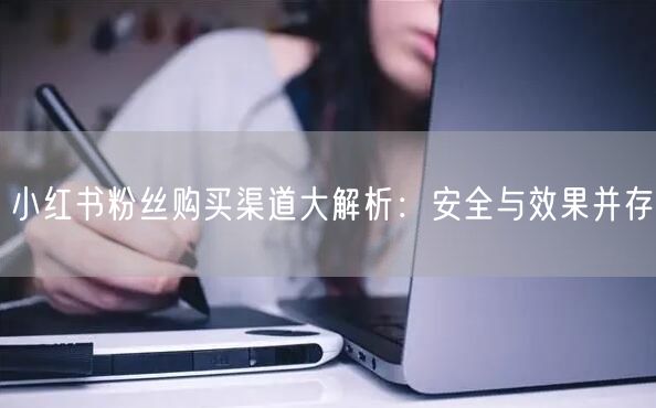 小红书粉丝购买渠道大解析：安全与效果并存