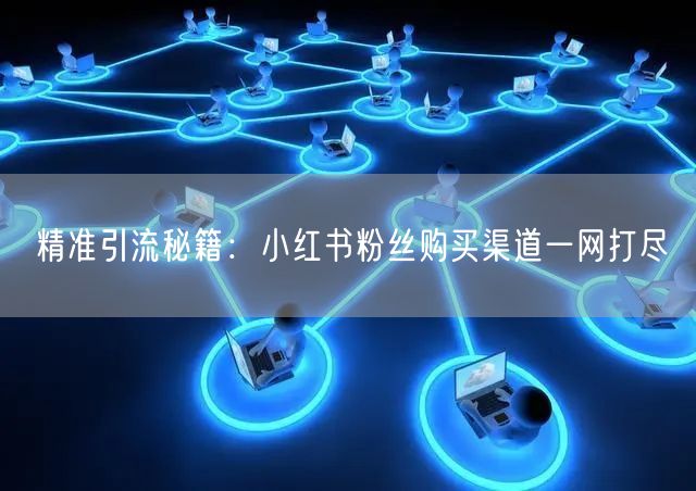 精准引流秘籍：小红书粉丝购买渠道一网打尽