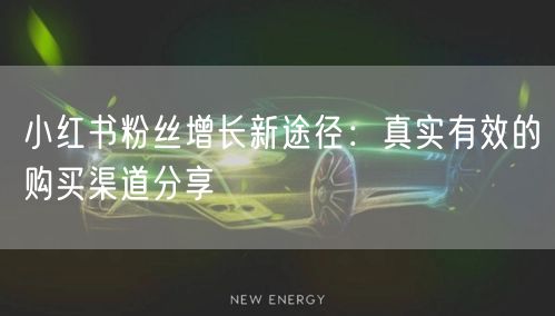 小红书粉丝增长新途径：真实有效的购买渠道分享