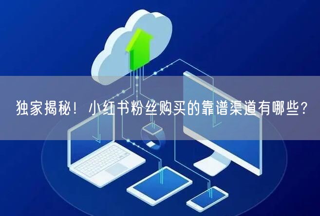 独家揭秘！小红书粉丝购买的靠谱渠道有哪些？
