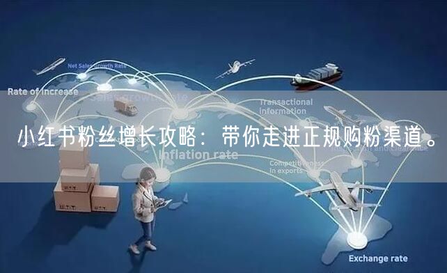 小红书粉丝增长攻略：带你走进正规购粉渠道。