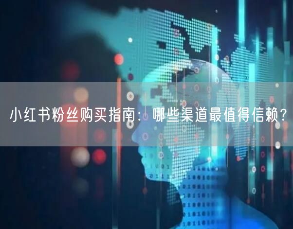 小红书粉丝购买指南：哪些渠道最值得信赖？
