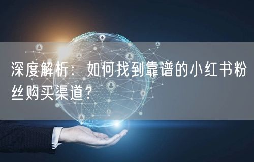 深度解析：如何找到靠谱的小红书粉丝购买渠道？
