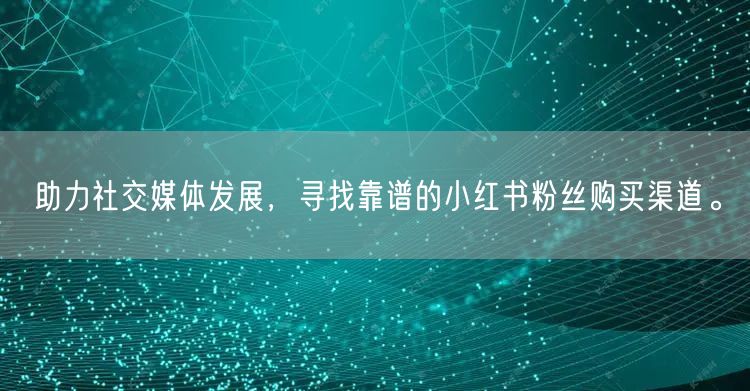 助力社交媒体发展，寻找靠谱的小红书粉丝购买渠道。