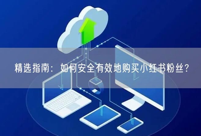 精选指南：如何安全有效地购买小红书粉丝？