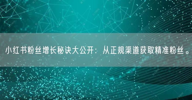 小红书粉丝增长秘诀大公开：从正规渠道获取精准粉丝。