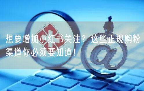 想要增加小红书关注？这些正规购粉渠道你必须要知道！