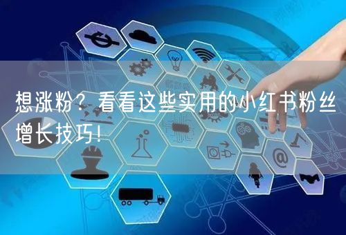 想涨粉？看看这些实用的小红书粉丝增长技巧！
