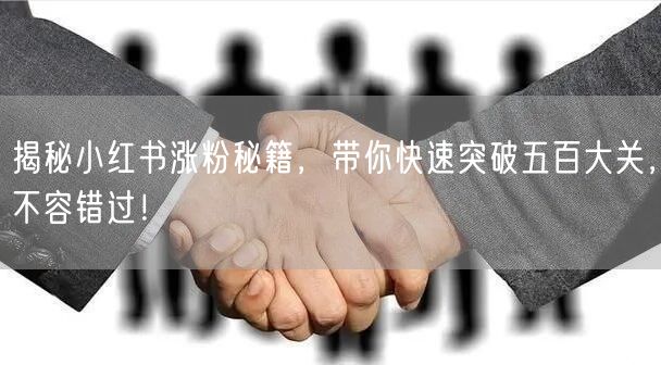 揭秘小红书涨粉秘籍，带你快速突破五百大关，不容错过！