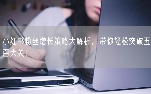 小红书粉丝增长策略大解析，带你轻松突破五百大关！