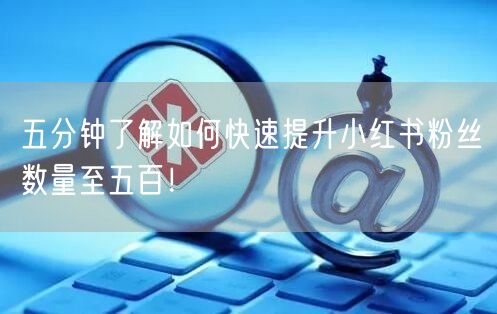 五分钟了解如何快速提升小红书粉丝数量至五百！