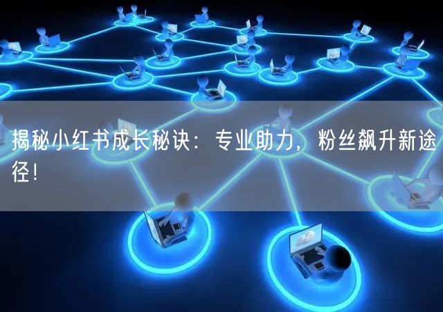 揭秘小红书成长秘诀：专业助力，粉丝飙升新途径！