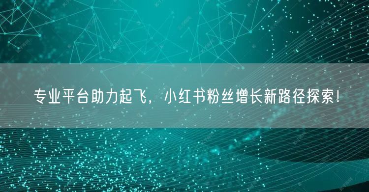 专业平台助力起飞，小红书粉丝增长新路径探索！