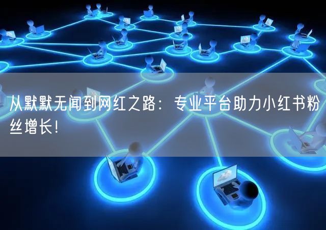 从默默无闻到网红之路：专业平台助力小红书粉丝增长！