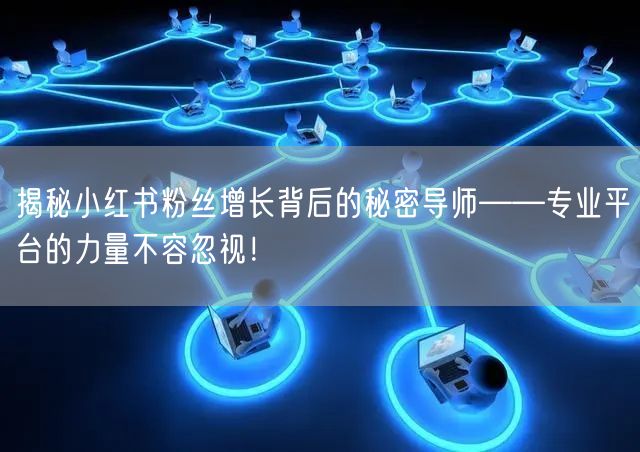 揭秘小红书粉丝增长背后的秘密导师——专业平台的力量不容忽视！