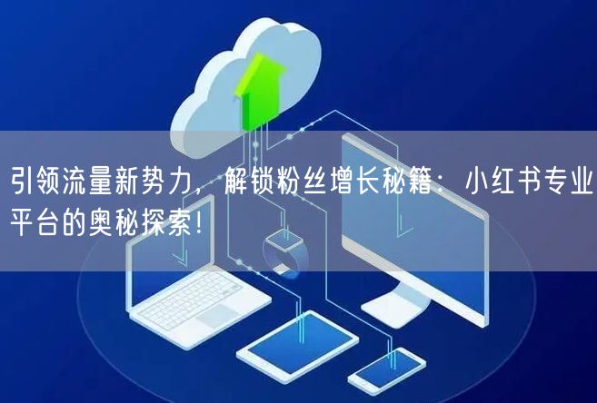 引领流量新势力，解锁粉丝增长秘籍：小红书专业平台的奥秘探索！