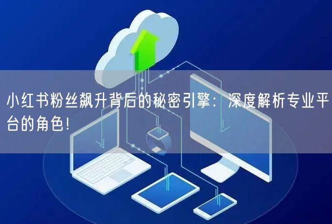 小红书粉丝飙升背后的秘密引擎：深度解析专业平台的角色！