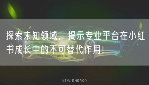 探索未知领域，揭示专业平台在小红书成长中的不可替代作用！