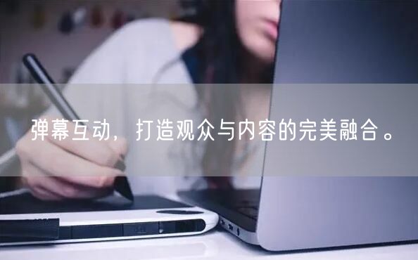 弹幕互动，打造观众与内容的完美融合。