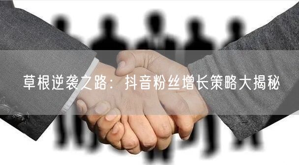 草根逆袭之路：抖音粉丝增长策略大揭秘