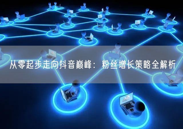 从零起步走向抖音巅峰：粉丝增长策略全解析