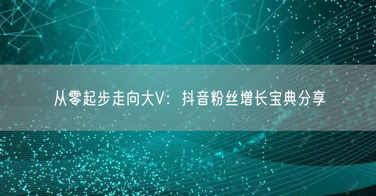 从零起步走向大V：抖音粉丝增长宝典分享