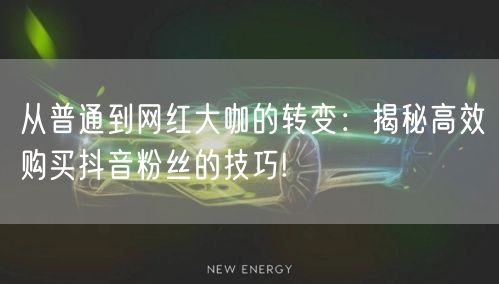 从普通到网红大咖的转变：揭秘高效购买抖音粉丝的技巧!