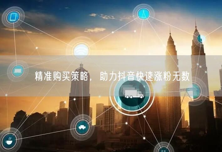 精准购买策略，助力抖音快速涨粉无数